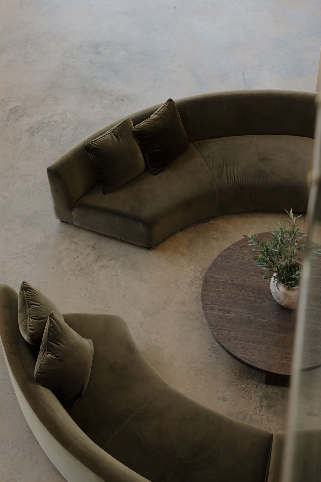 An overhead view of two curved olive velvet sofas around a round wood table on a polished concrete floor
