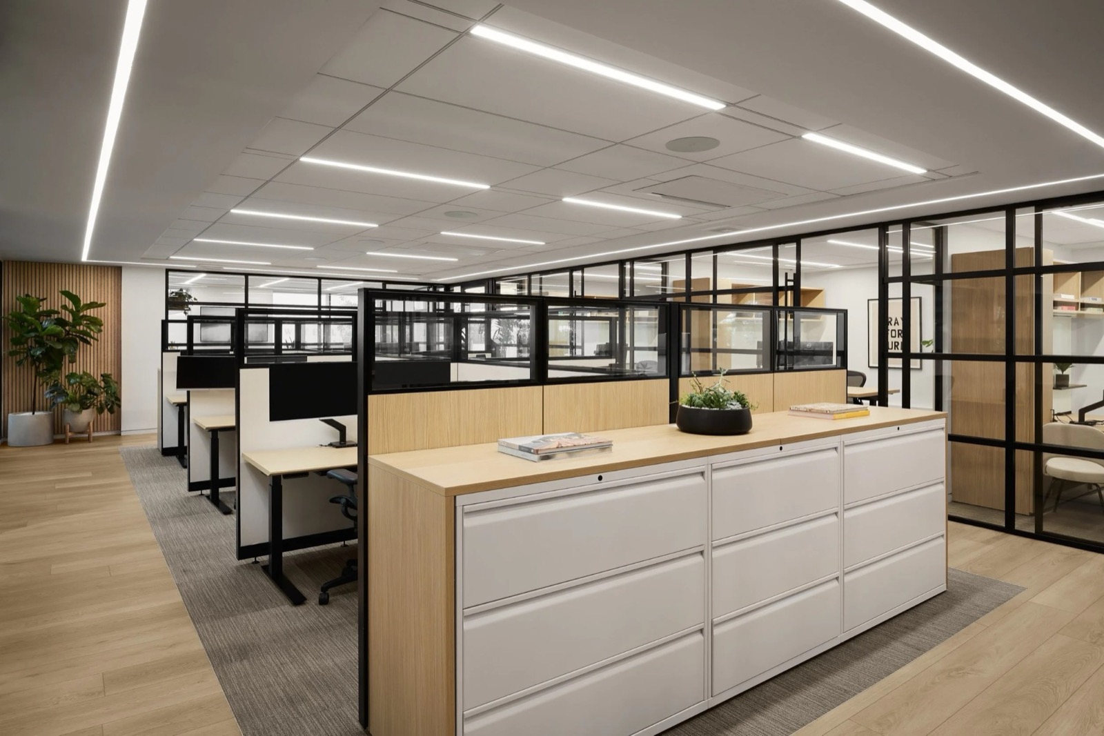 An open workspace of sit-stand desks behind low partitions, with a wood-topped file cabinet and a bowl of succulents in front, black-framed glass offices to the right, and a slatted wood wall with plants at the far end