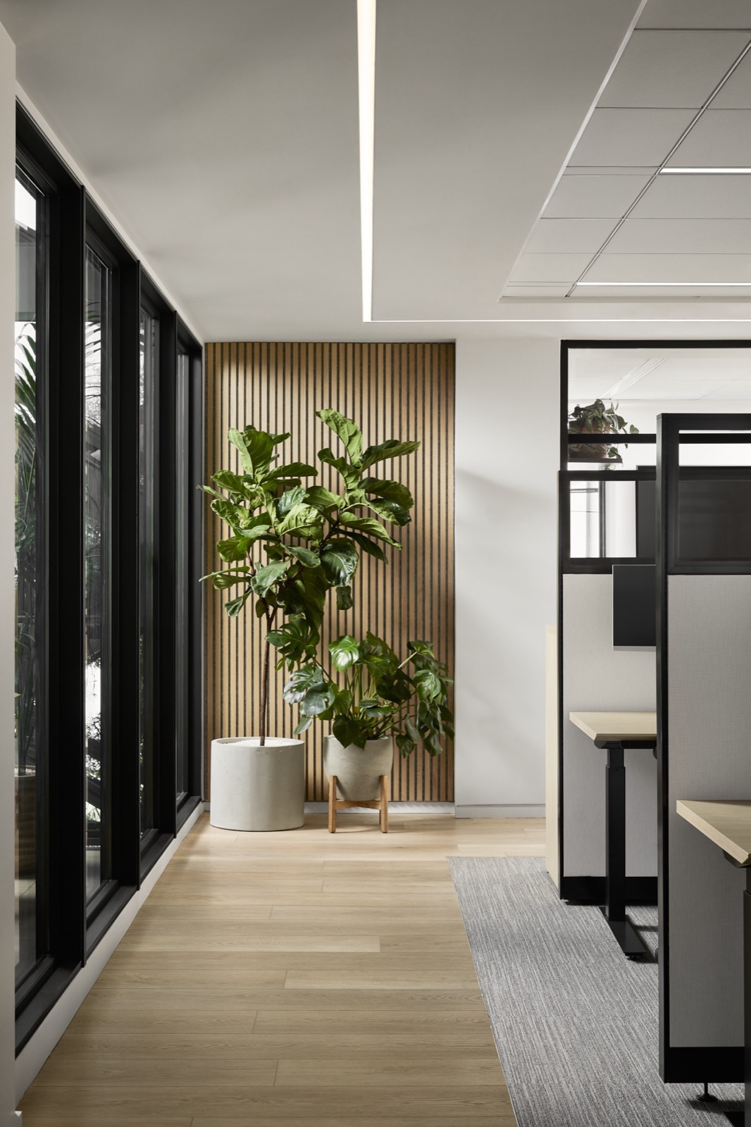 A corridor beside floor-to-ceiling black-framed windows with two potted plants against a slatted wood wall, and workstations to the right