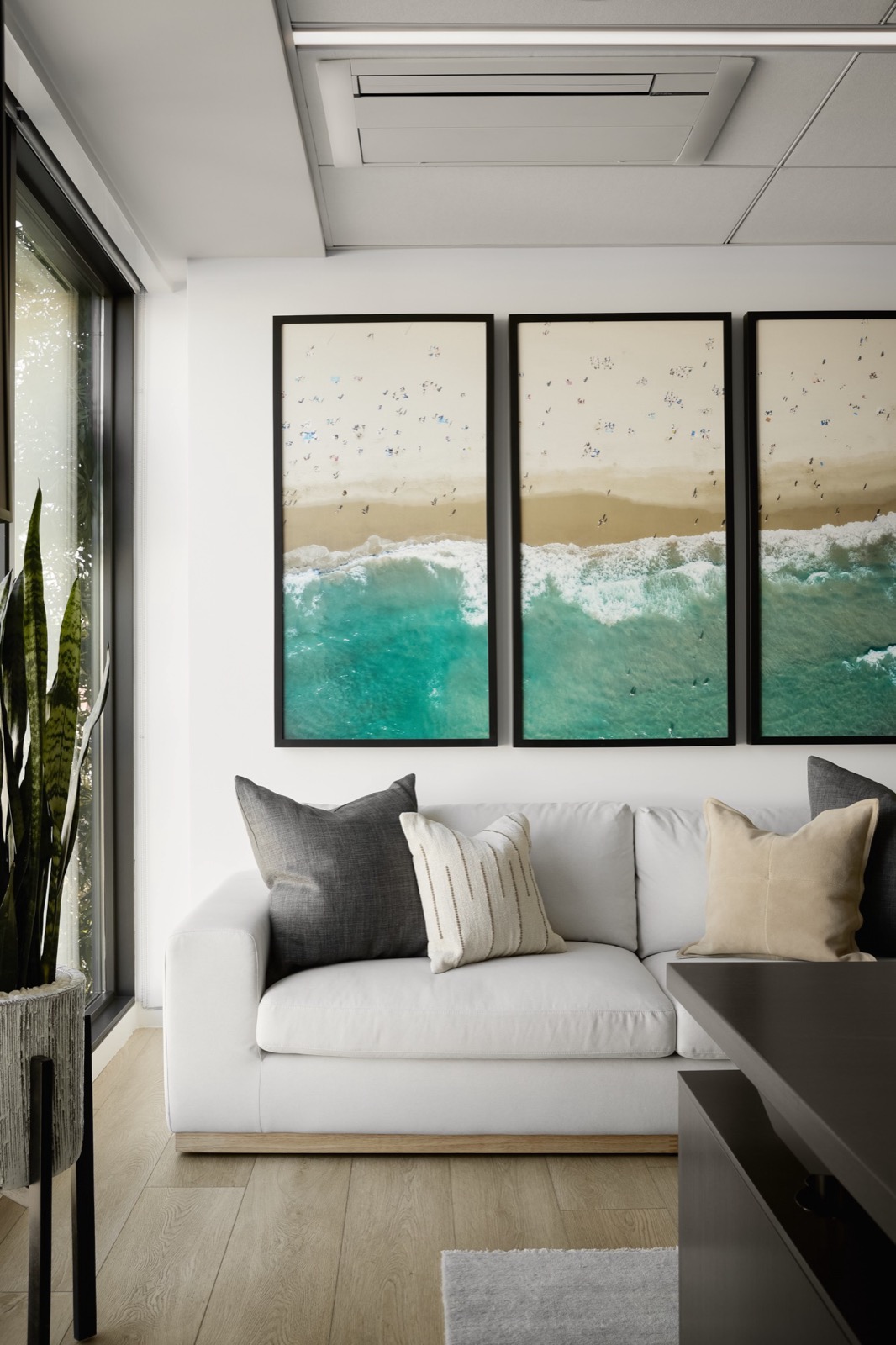 A white sofa with gray, striped, and tan pillows beneath a triptych aerial beach print, beside a tall window and a snake plant