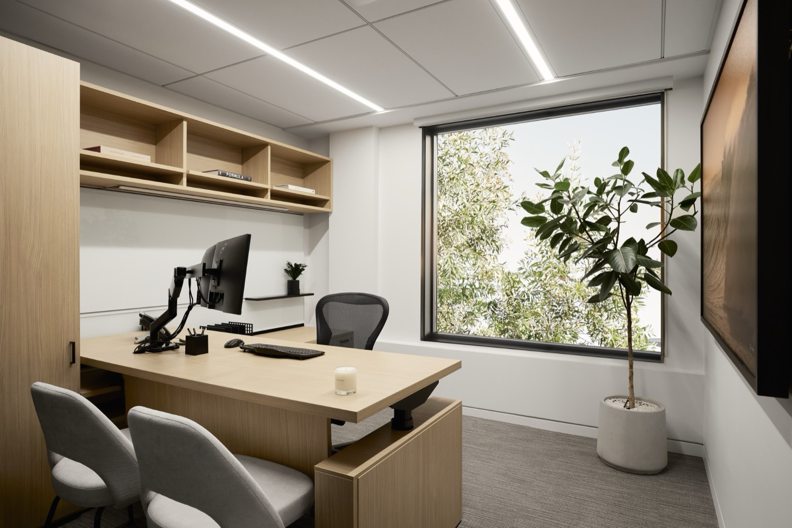 A private office with a light wood L-shaped desk, a monitor arm, gray chairs, open shelving with books, a tall fiddle-leaf plant, and a large window onto trees